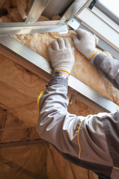 Types of Insulation We Offer in Ely, MN