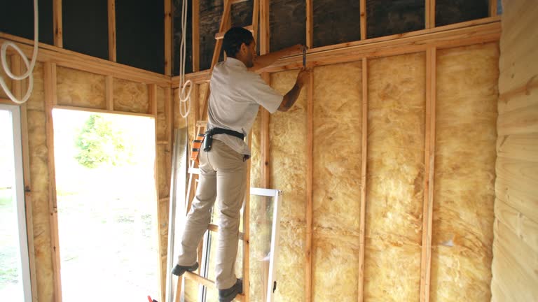 Best Weatherproofing Services  in Ely, MN