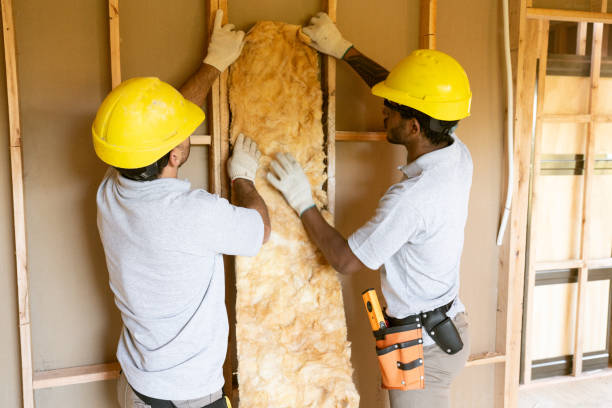 Best Batt and Roll Insulation  in Ely, MN