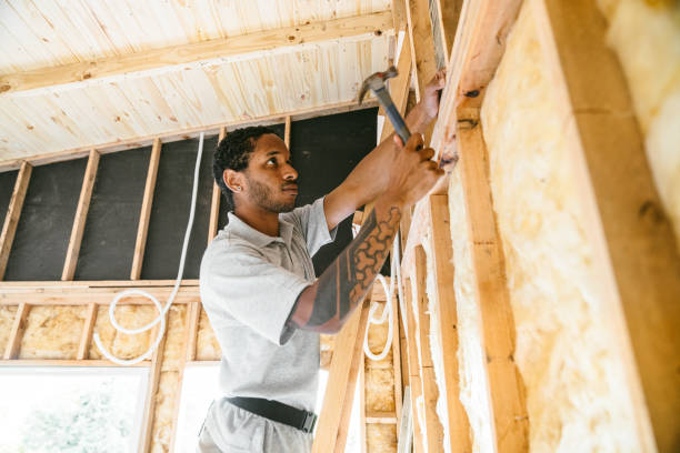 Best Spray Foam Insulation  in Ely, MN