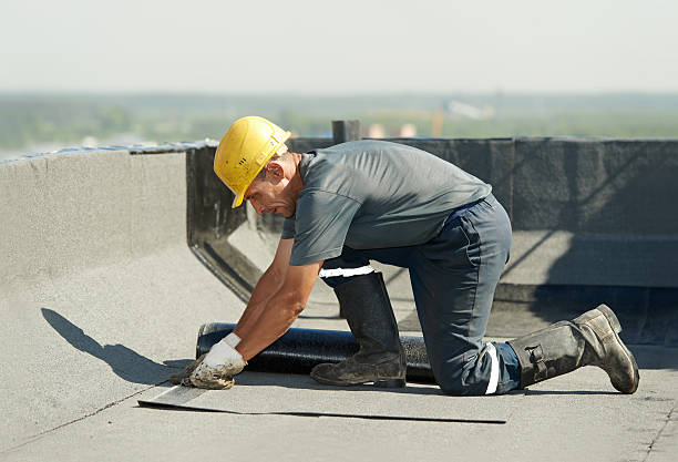 Best Attic Insulation Installation  in Ely, MN