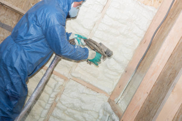 Best Reflective Insulation  in Ely, MN